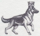 German Shepherd in Crown