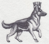 German Shepherd in Crown
