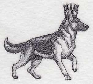 German Shepherd in Crown