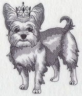 Yorkshire Terrier in Crown