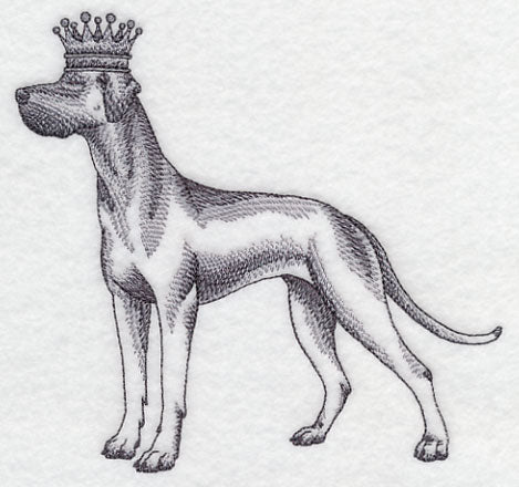 Great Dane in Crown
