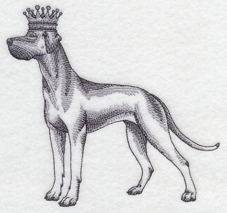 Great Dane in Crown