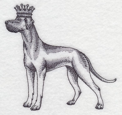 Great Dane in Crown