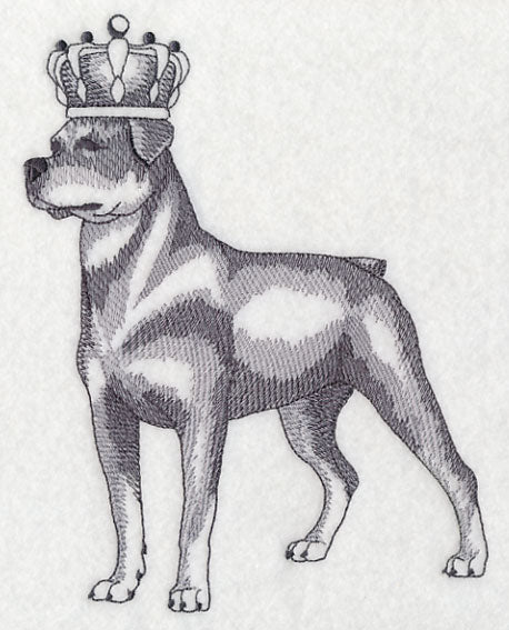 Rottweiler in Crown