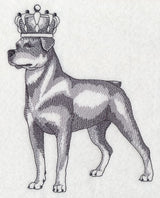 Rottweiler in Crown