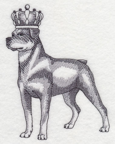 Rottweiler in Crown