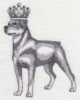 Rottweiler in Crown