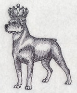 Rottweiler in Crown