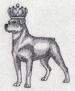 Rottweiler in Crown
