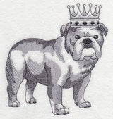 English Bulldog in Crown