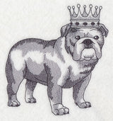English Bulldog in Crown
