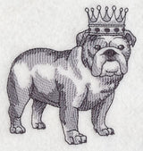 English Bulldog in Crown