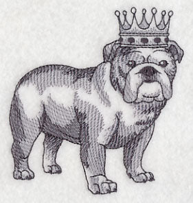 English Bulldog in Crown
