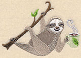 Coffee Shop Sloth