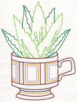 Cup o' Succulent - Aloe Vera (Vintage)