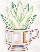 Cup o' Succulent - Aloe Vera (Vintage)