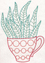 Cup o' Succulent - Zebra Hawthoria (Vintage)