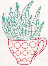 Cup o' Succulent - Zebra Hawthoria (Vintage)