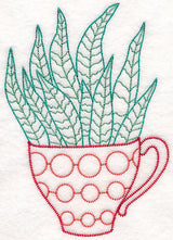 Cup o' Succulent - Zebra Hawthoria (Vintage)