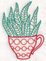 Cup o' Succulent - Zebra Hawthoria (Vintage)