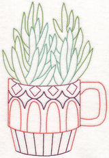 Cup o' Succulent - Senecio (Vintage)