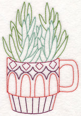 Cup o' Succulent - Senecio (Vintage)