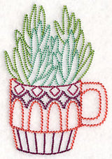 Cup o' Succulent - Senecio (Vintage)