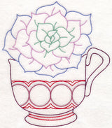 Cup o' Succulent - Echeveria (Vintage)