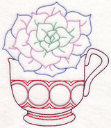 Cup o' Succulent - Echeveria (Vintage)