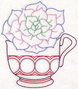 Cup o' Succulent - Echeveria (Vintage)