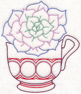 Cup o' Succulent - Echeveria (Vintage)