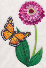 Monarch and Zinnia