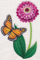 Monarch and Zinnia