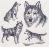 Siberian Husky Sketch