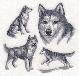 Siberian Husky Sketch