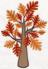 Colors of Fall - Oak Tree