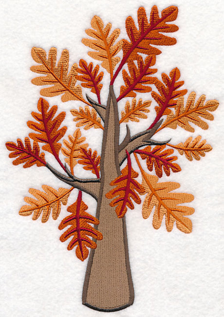 Colors of Fall - Oak Tree