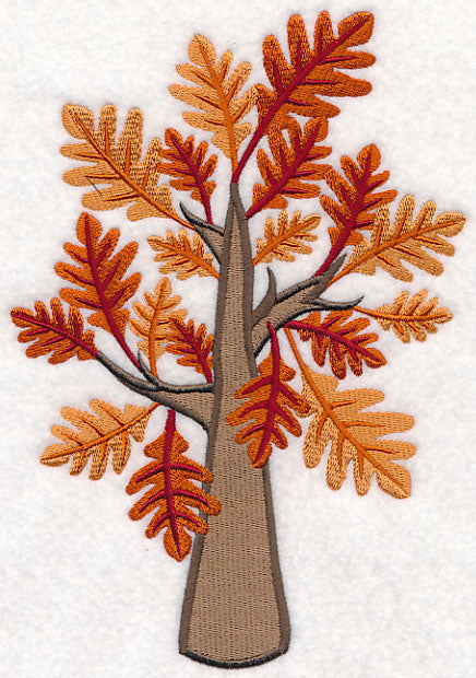 Colors of Fall - Oak Tree