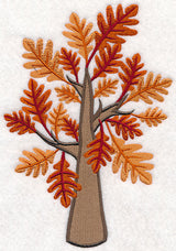 Colors of Fall - Oak Tree