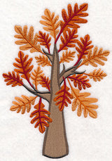 Colors of Fall - Oak Tree