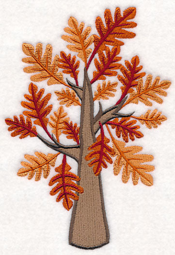 Colors of Fall - Oak Tree