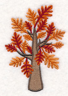 Colors of Fall - Oak Tree