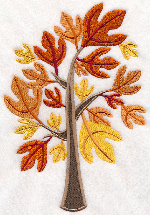 Colors of Fall - Sassafras Tree