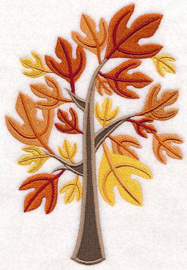 Colors of Fall - Sassafras Tree