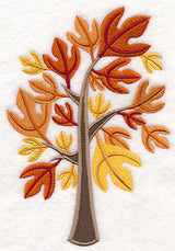 Colors of Fall - Sassafras Tree