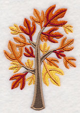 Colors of Fall - Sassafras Tree