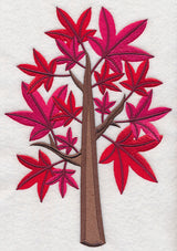 Colors of Fall - Sweet Gum Tree