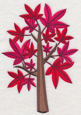 Colors of Fall - Sweet Gum Tree