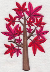 Colors of Fall - Sweet Gum Tree