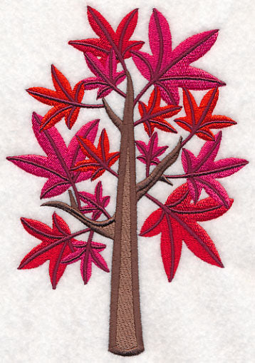 Colors of Fall - Sweet Gum Tree